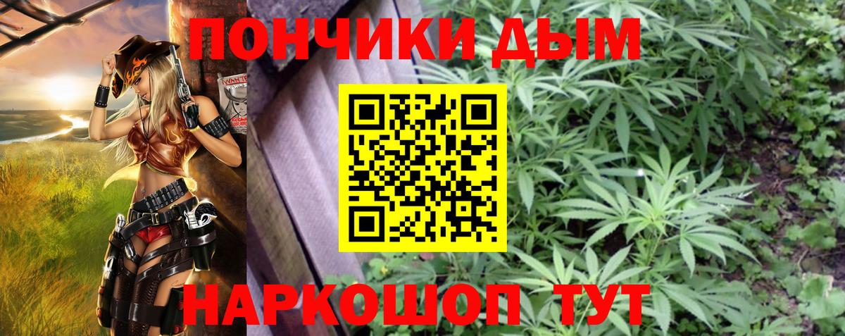 Конопля планчик Кизляр